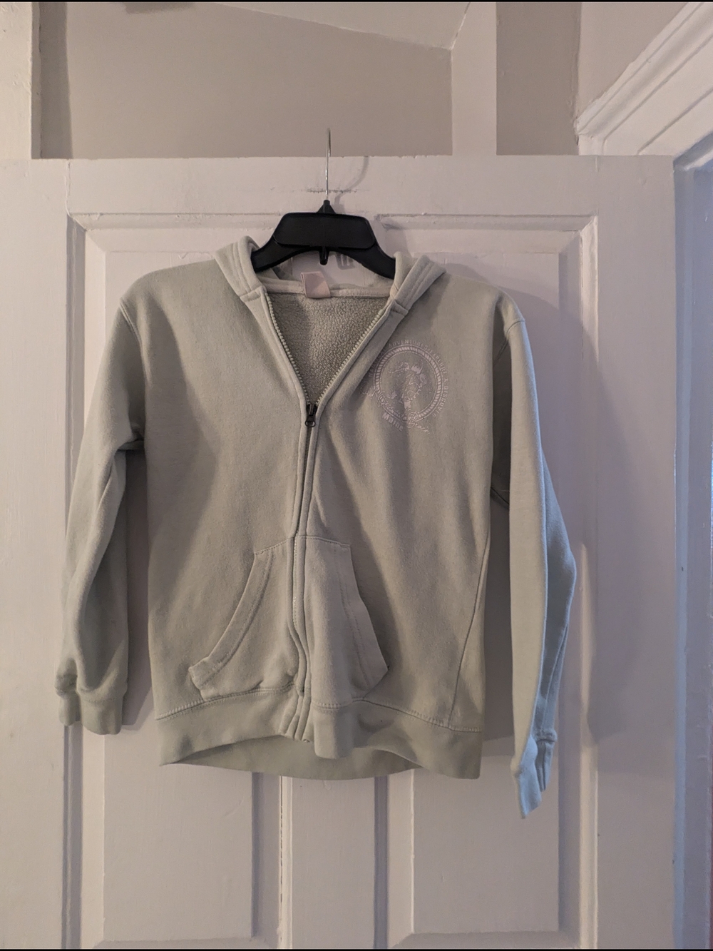 Kids Sage Green Zip-Up Hoodie Sweatshirt with Embroidered Crest